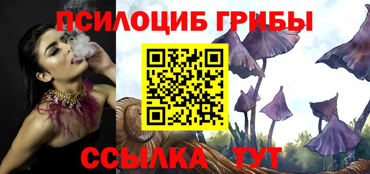 Ахтубинск  Псилоцибиновые грибы ЛСД  купить закладку  Вход с VPN 