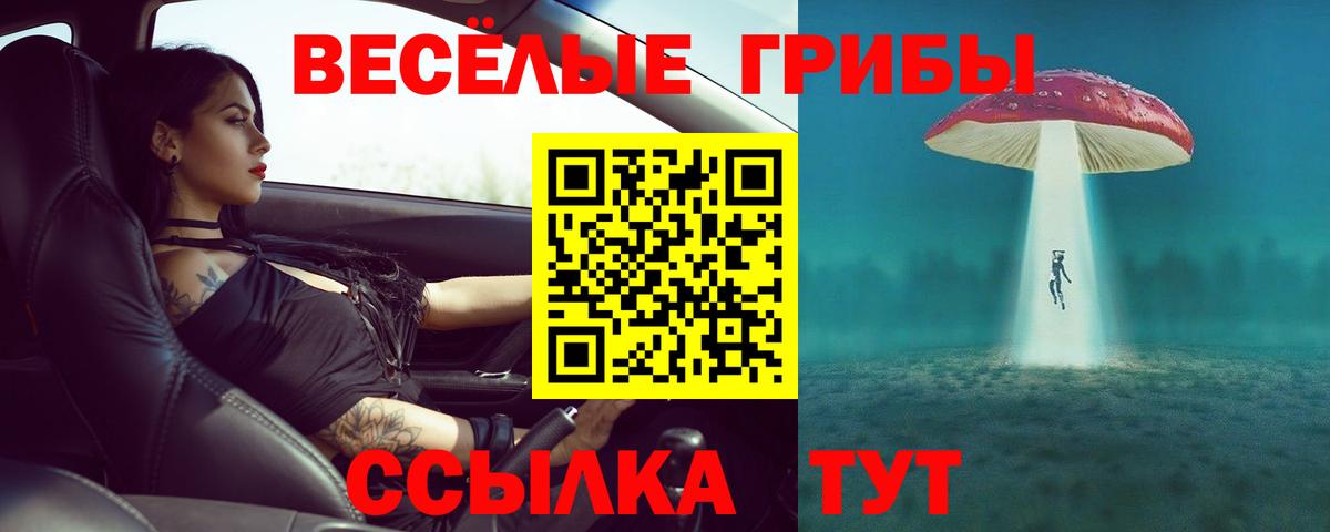 Галлюциногенные грибы мухоморы Ахтубинск