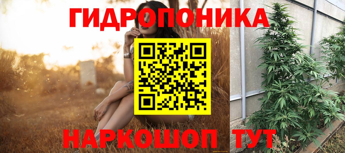 Канабис VHQ  Бошки Шишки индика  Ахтубинск  Шишки марихуана тримм  Вход с VPN 